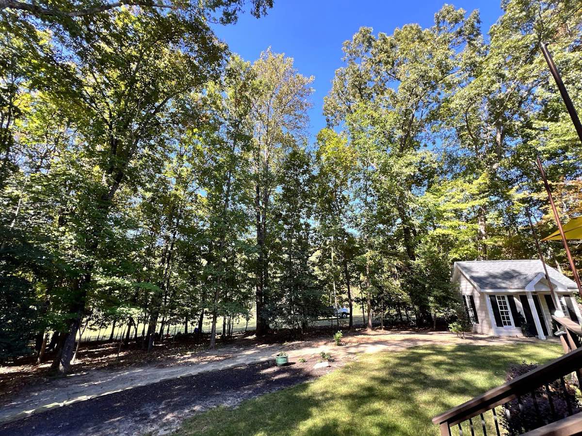 tree surgery work by Acorn Tree & Shrubs Services LLC in Raleigh