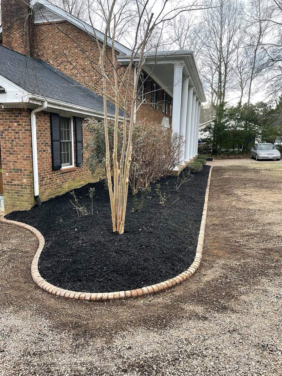 Acorn Tree & Shrubs Services LLC work in Raleigh