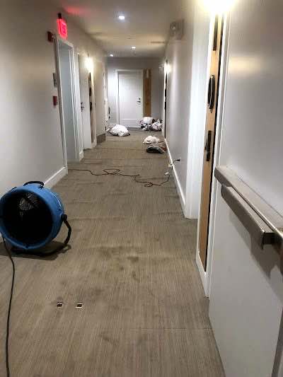 damp proofing work by Reliable PA in Philadelphia